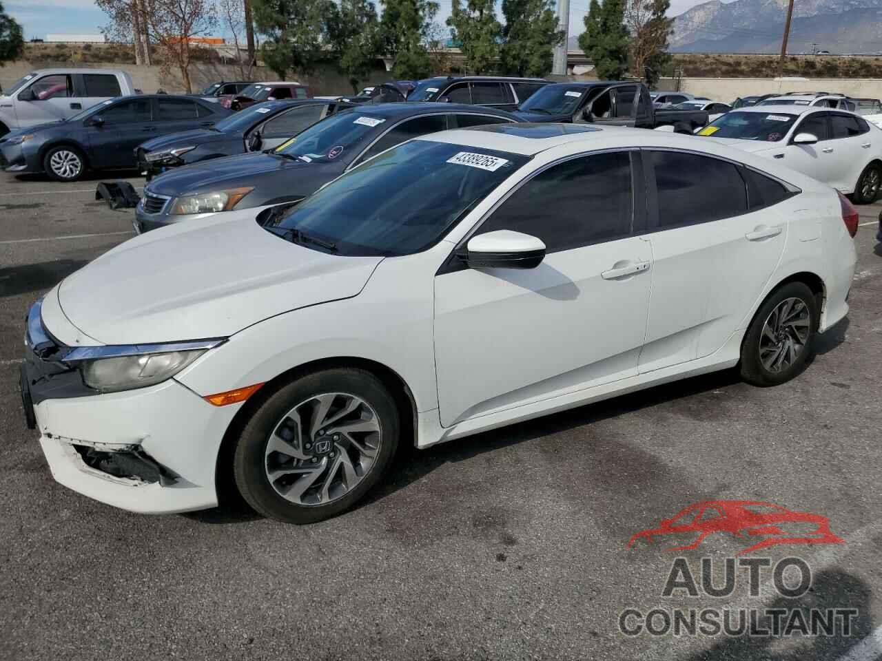 HONDA CIVIC 2017 - 2HGFC2F77HH502367