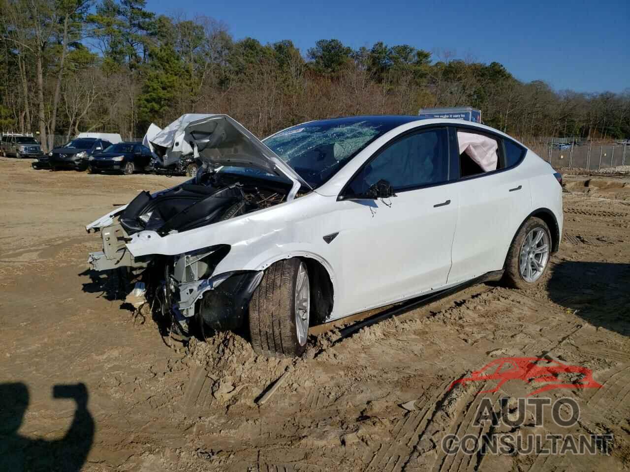 TESLA MODEL Y 2023 - 7SAYGDEE5PA128515