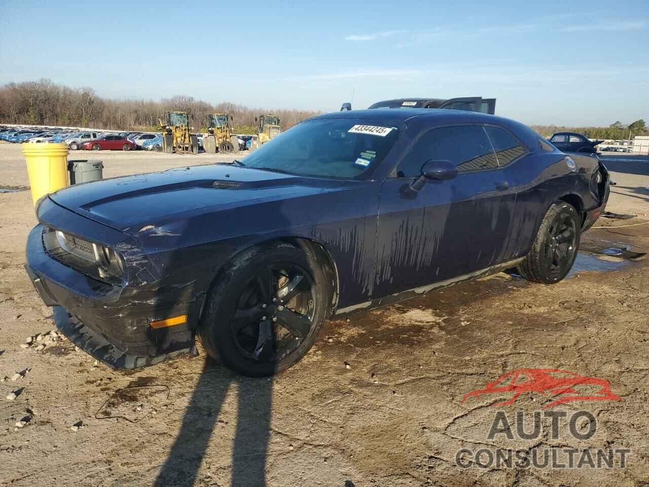 DODGE CHALLENGER 2013 - 2C3CDYAG3DH670918