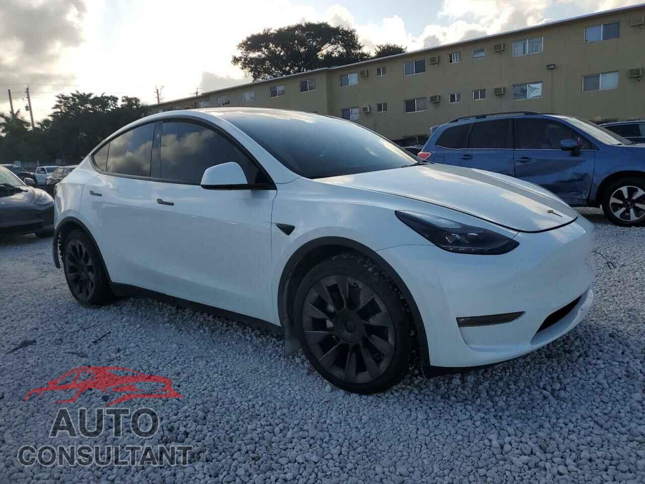 TESLA MODEL Y 2023 - 7SAYGAEE5PF809727