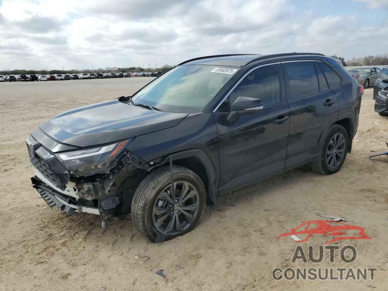 TOYOTA RAV4 2024 - JTMB6RFV3RD145988