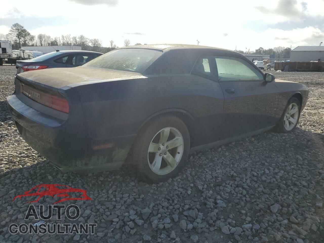 DODGE CHALLENGER 2013 - 2C3CDYAG3DH607818
