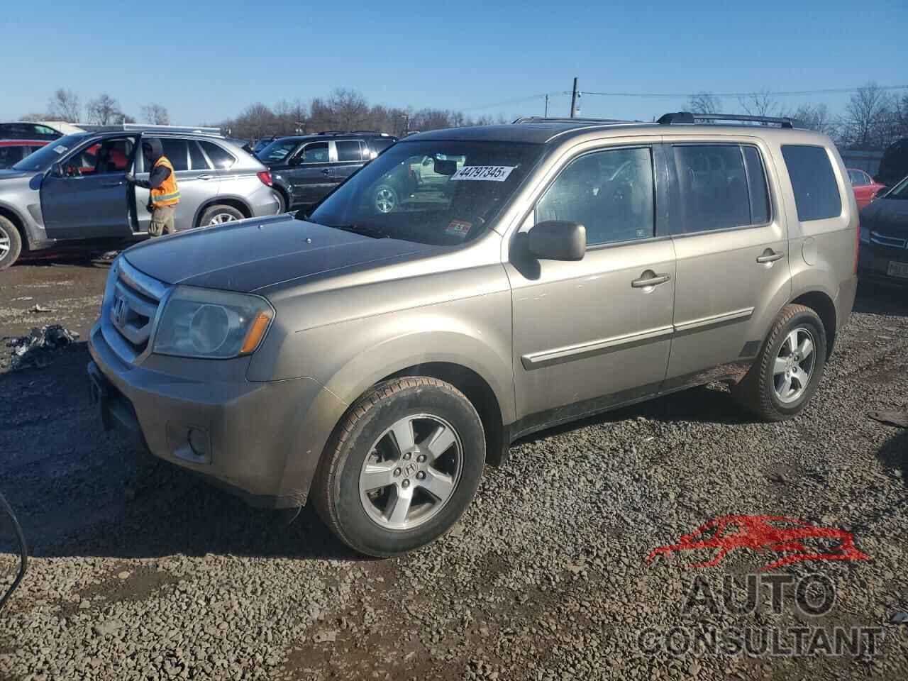 HONDA PILOT 2009 - 5FNYF48539B033436