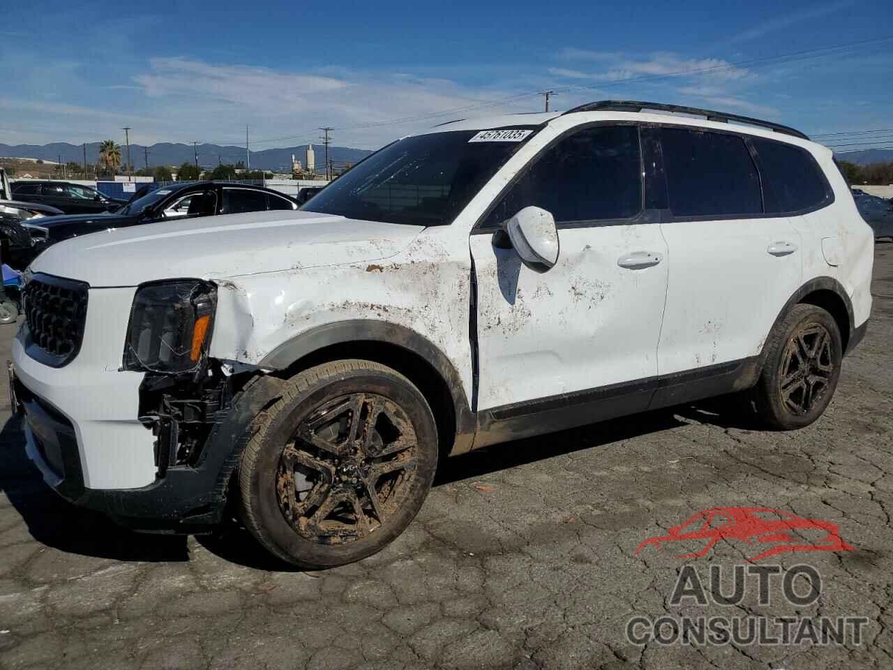 KIA TELLURIDE 2024 - 5XYP3DGC1RG483793
