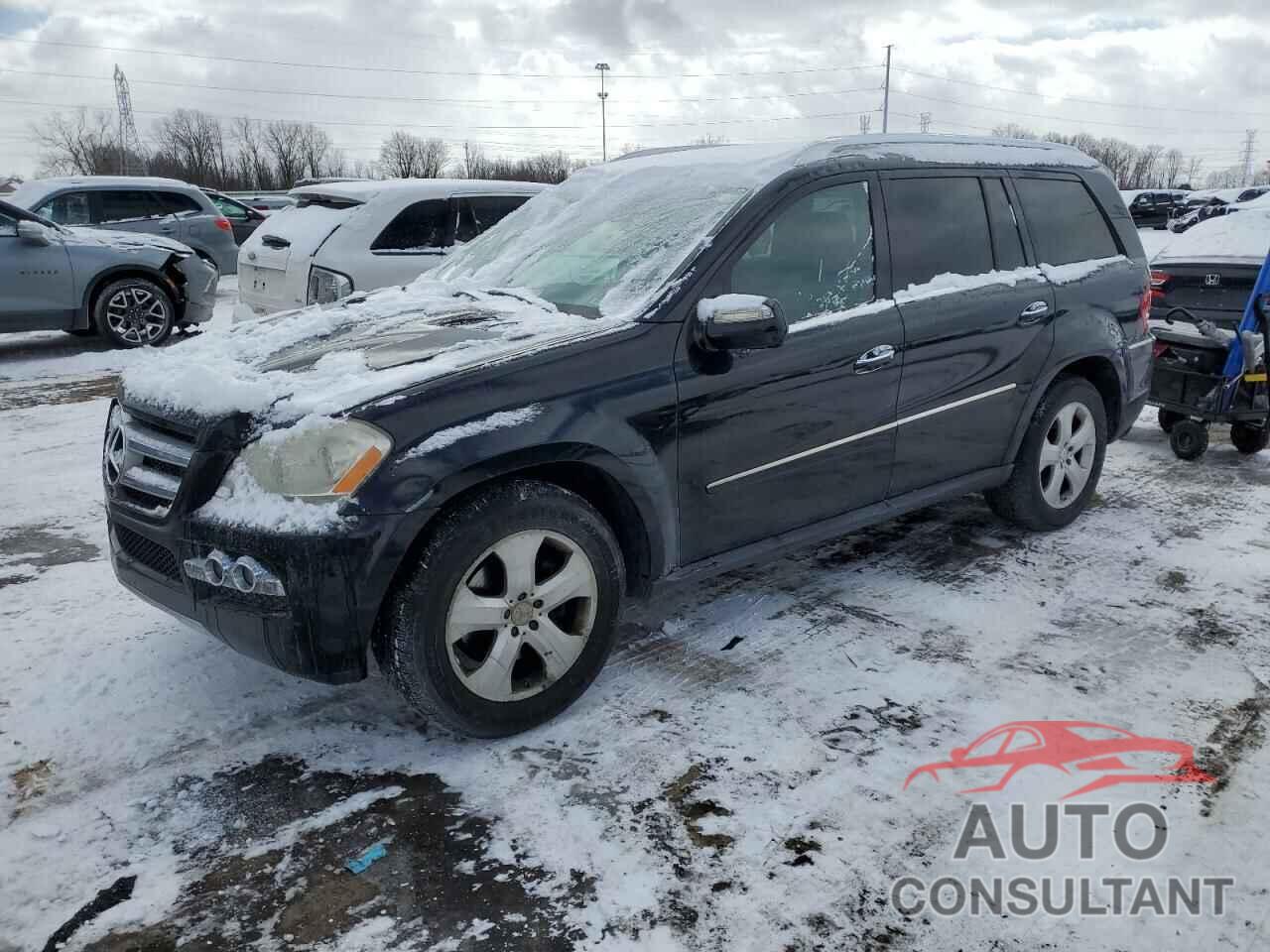 MERCEDES-BENZ GL-CLASS 2010 - 4JGBF7BB5AA532298