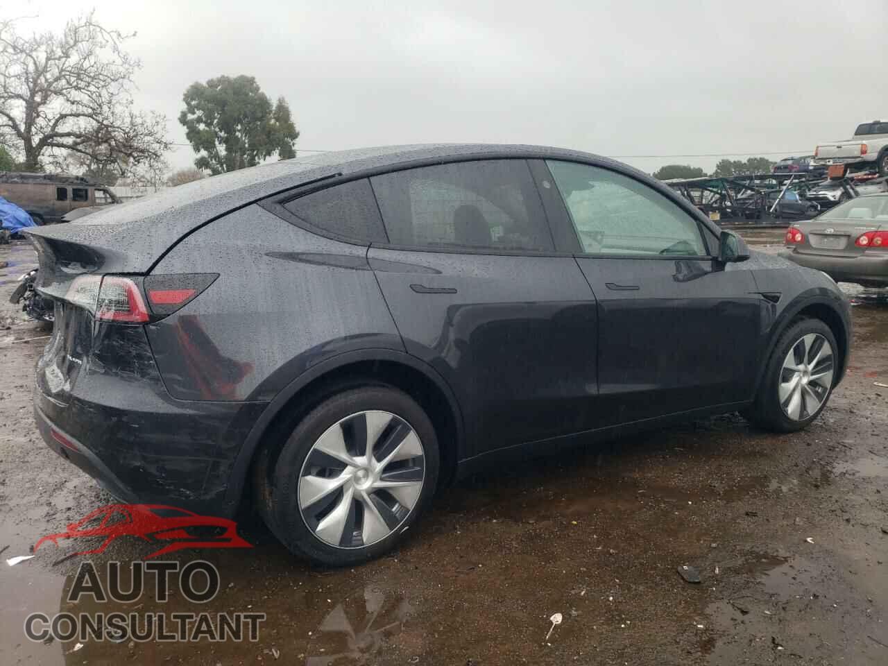TESLA MODEL Y 2024 - 7SAYGDEE0RF014153