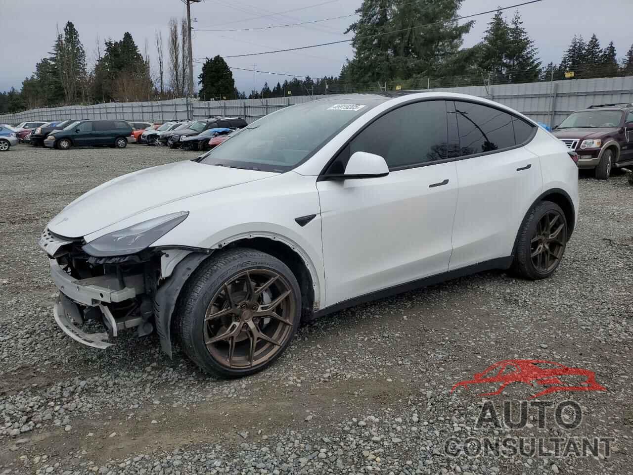 TESLA MODEL Y 2020 - 5YJYGDEE6LF056900