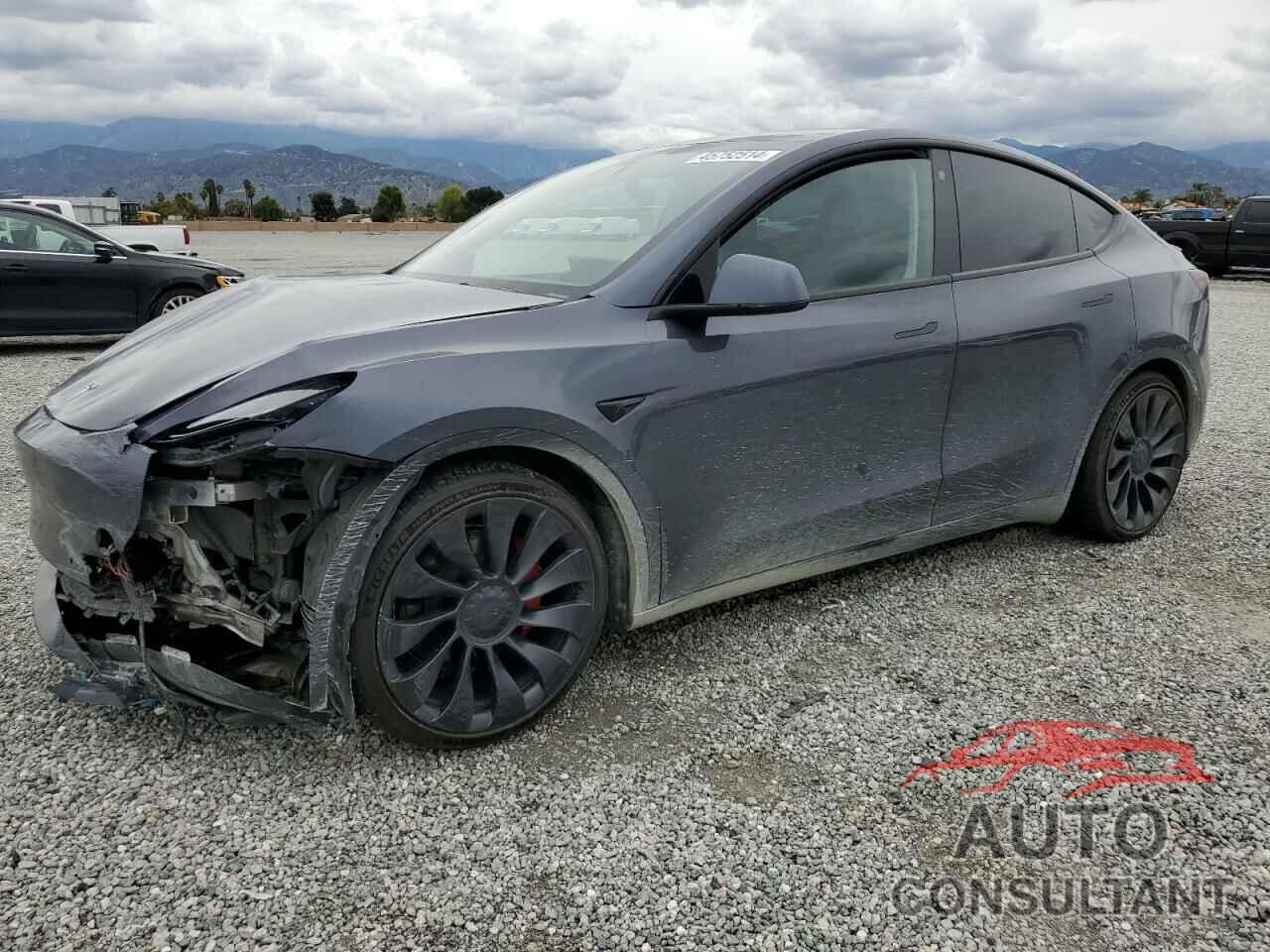 TESLA MODEL Y 2022 - 7SAYGDEF6NF560233