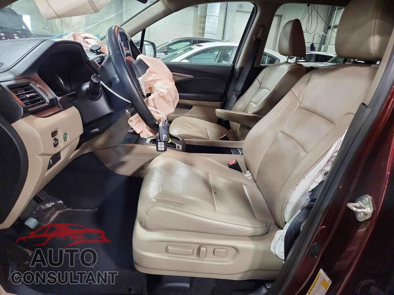 HONDA PILOT 2019 - 5FNYF6H5XKB093943