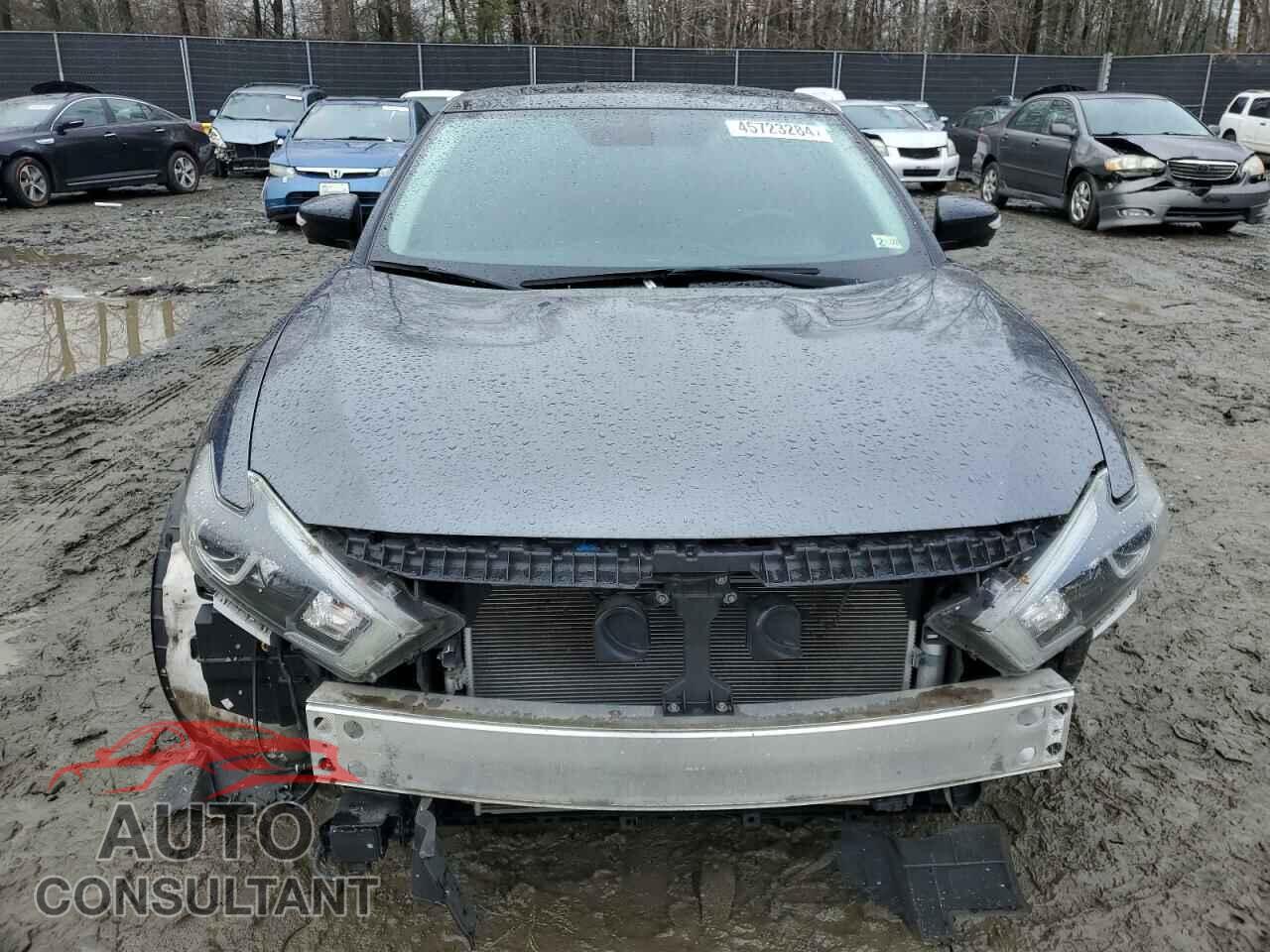 NISSAN MAXIMA 2017 - 1N4AA6AP1HC388257