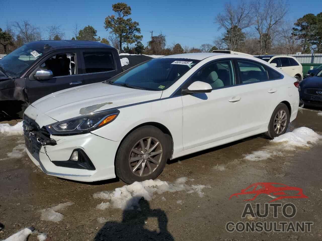 HYUNDAI SONATA 2019 - 5NPE24AFXKH748416