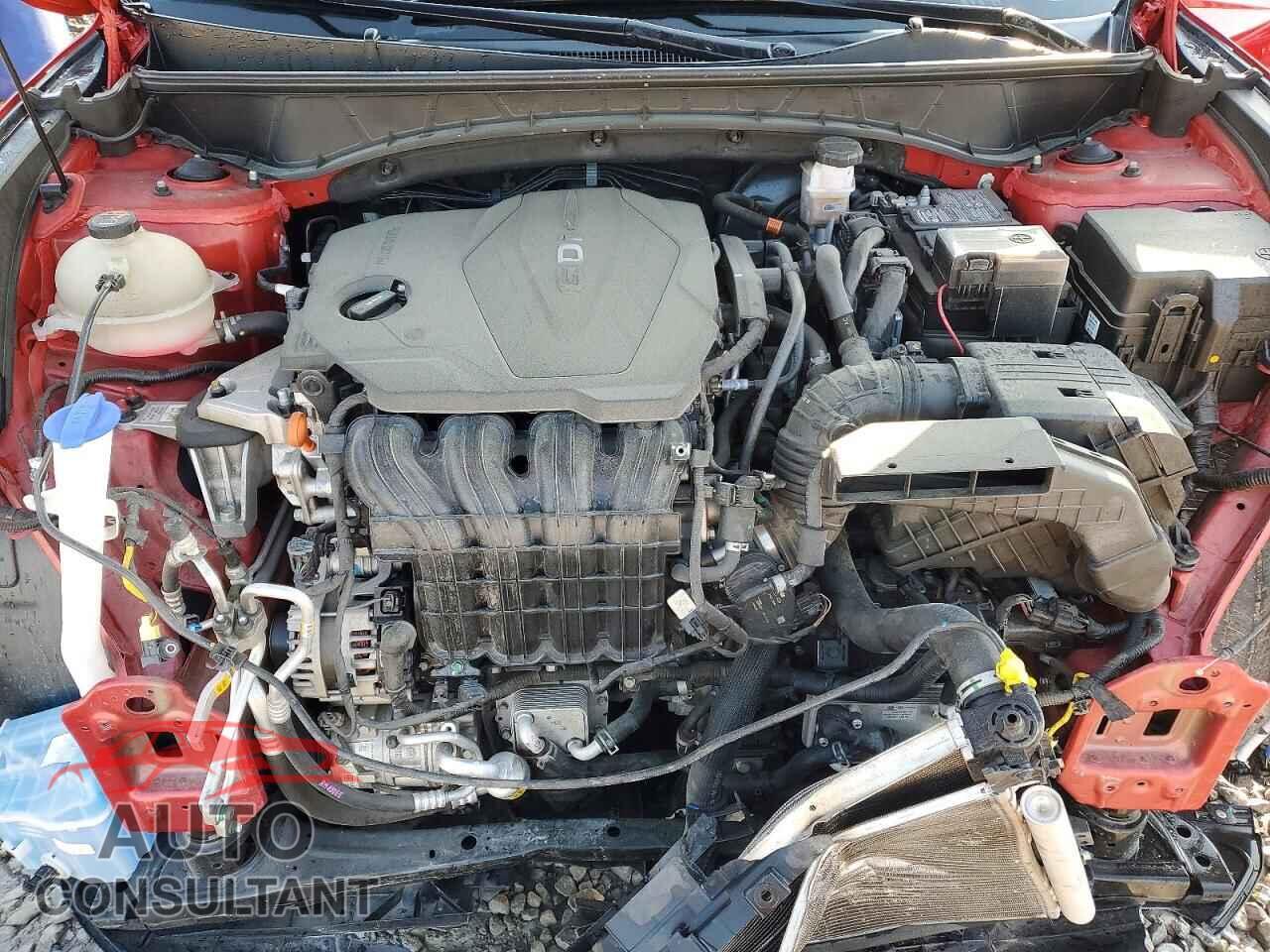 HYUNDAI TUCSON 2023 - 5NMJFCAEXPH217841