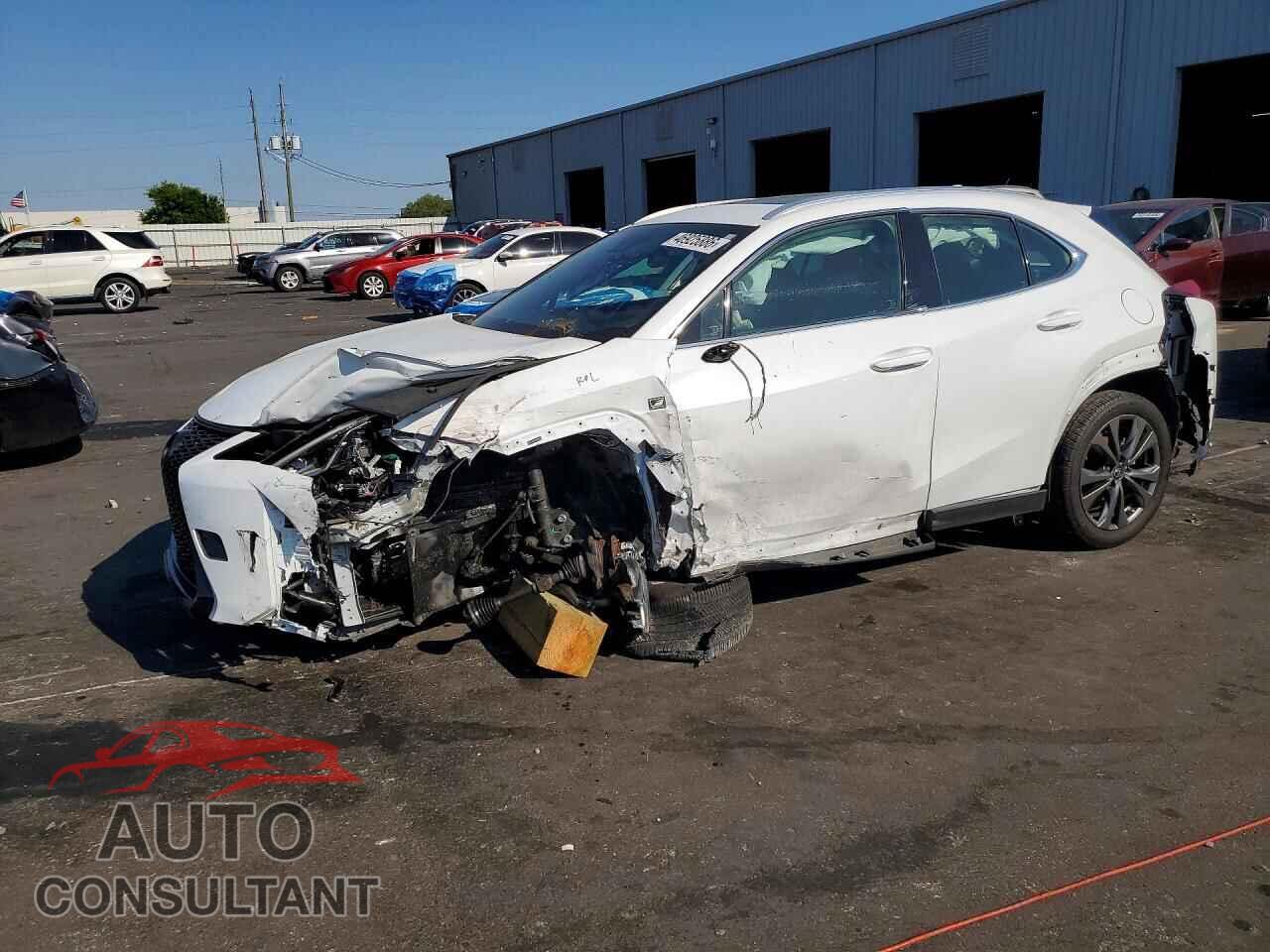 LEXUS UNKNOWN 2019 - JTHY3JBH8K2019985