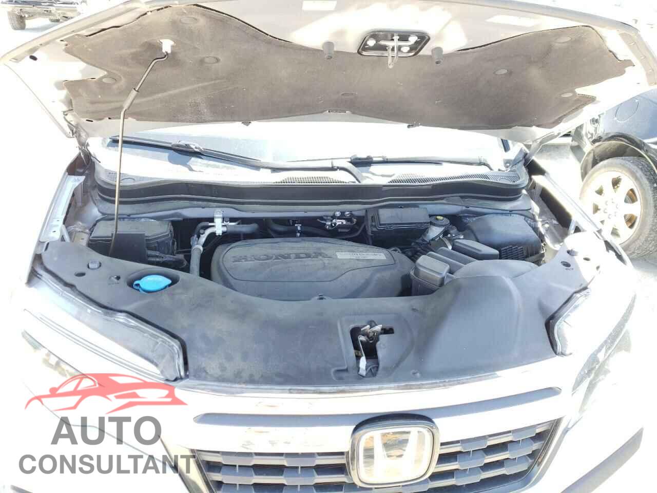 HONDA RIDGELINE 2018 - 5FPYK3F74JB008809