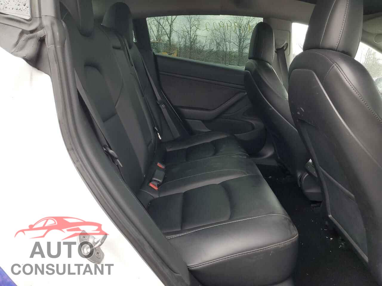 TESLA MODEL 3 2021 - 5YJ3E1EB0MF924251