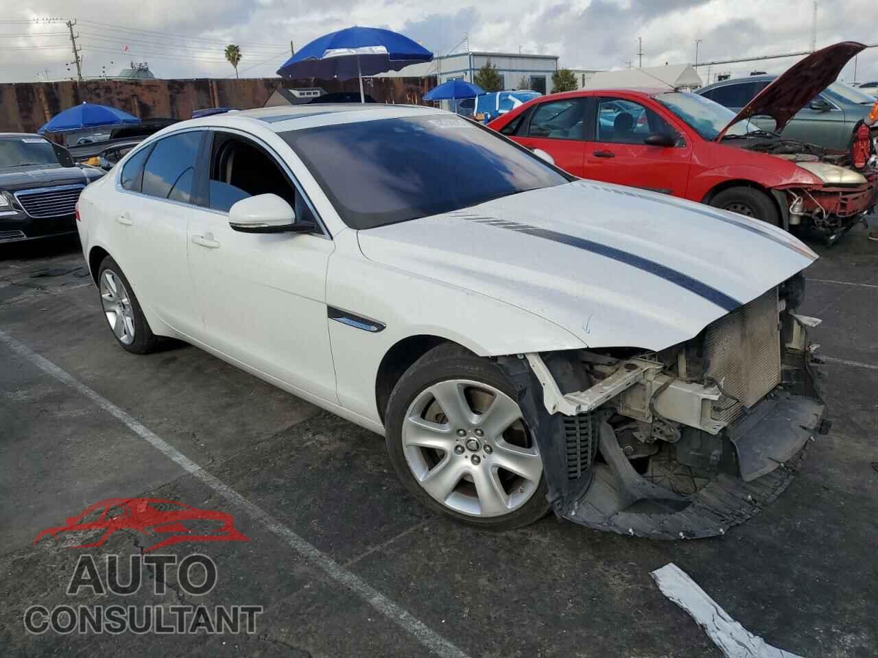 JAGUAR XF 2017 - SAJBD4BV9HCY44398