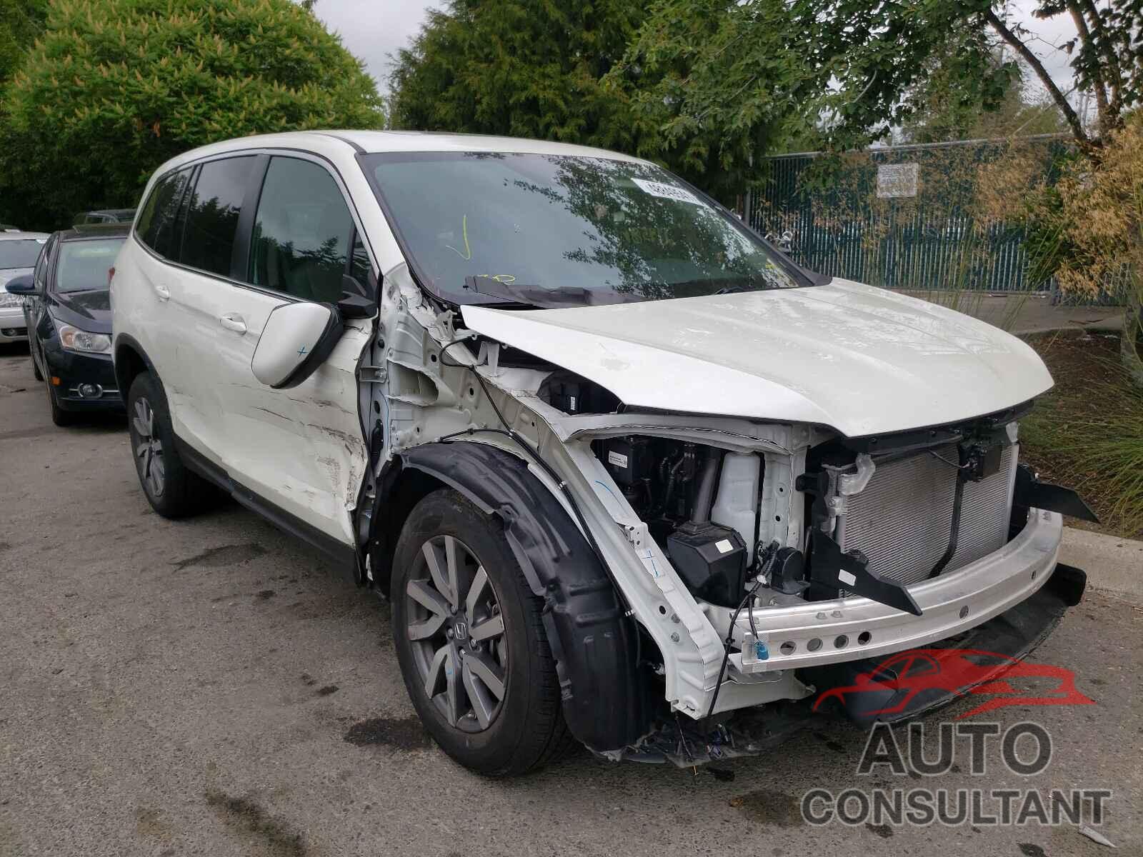 HONDA PILOT 2019 - 5FNYF6H53KB052568