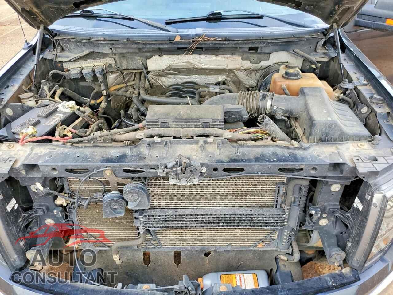 FORD F150 2011 - 1FTFW1CF0BFA51156