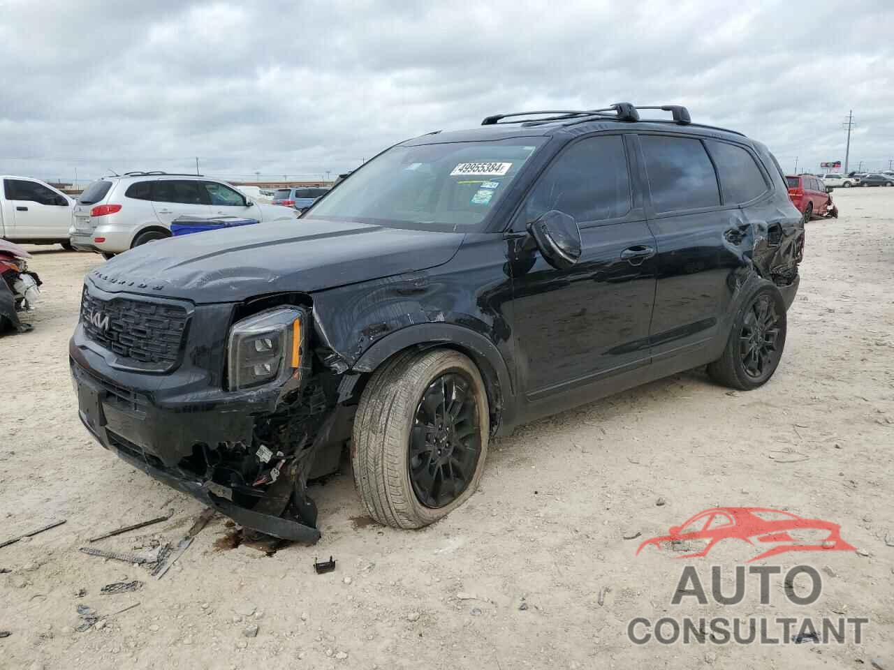 KIA TELLURIDE 2022 - 5XYP5DHC0NG197386