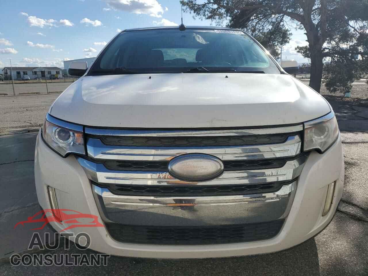 FORD EDGE 2014 - 2FMDK4KC5EBA49089