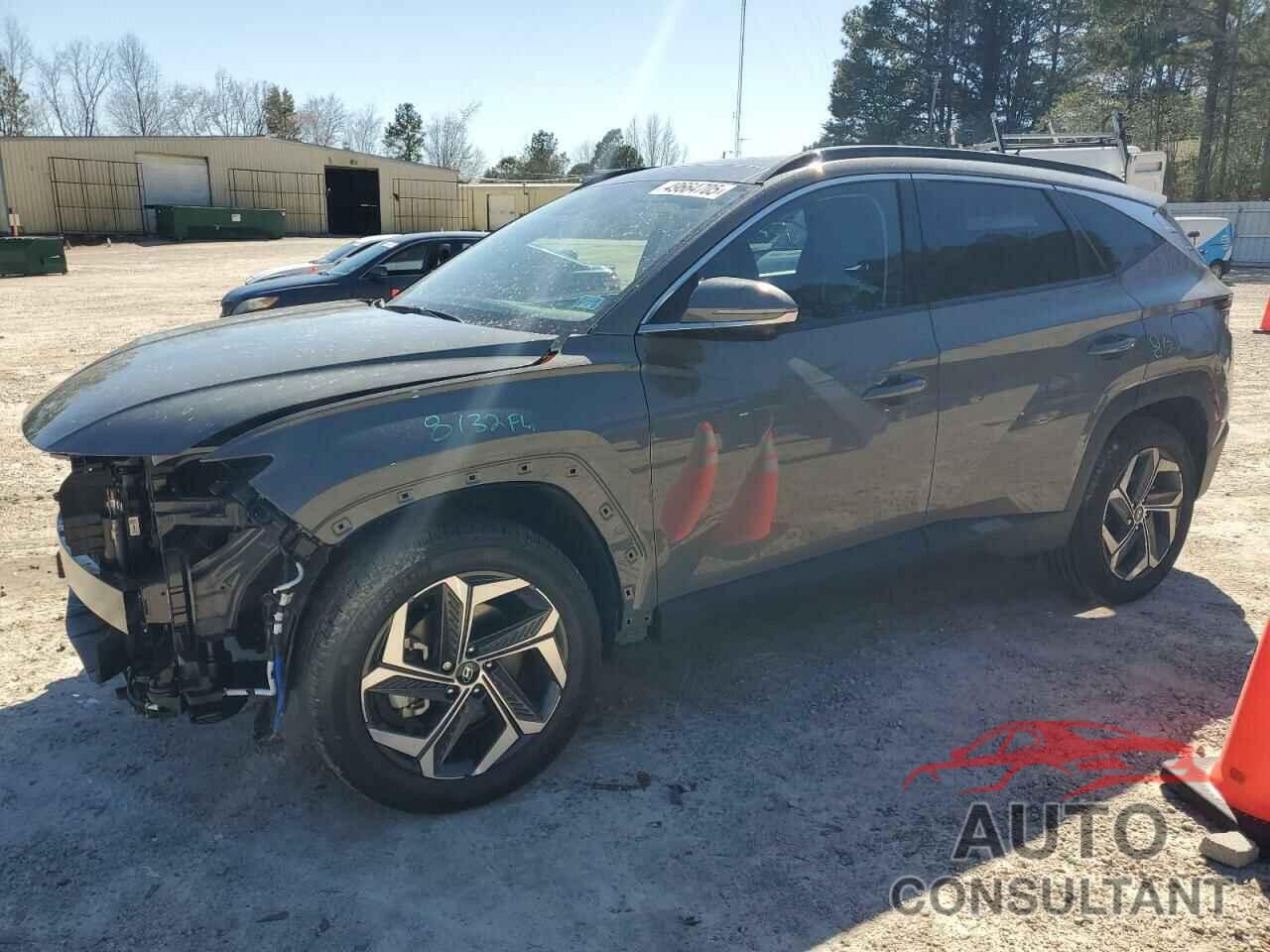 HYUNDAI TUCSON 2024 - 5NMJECDE8RH436055