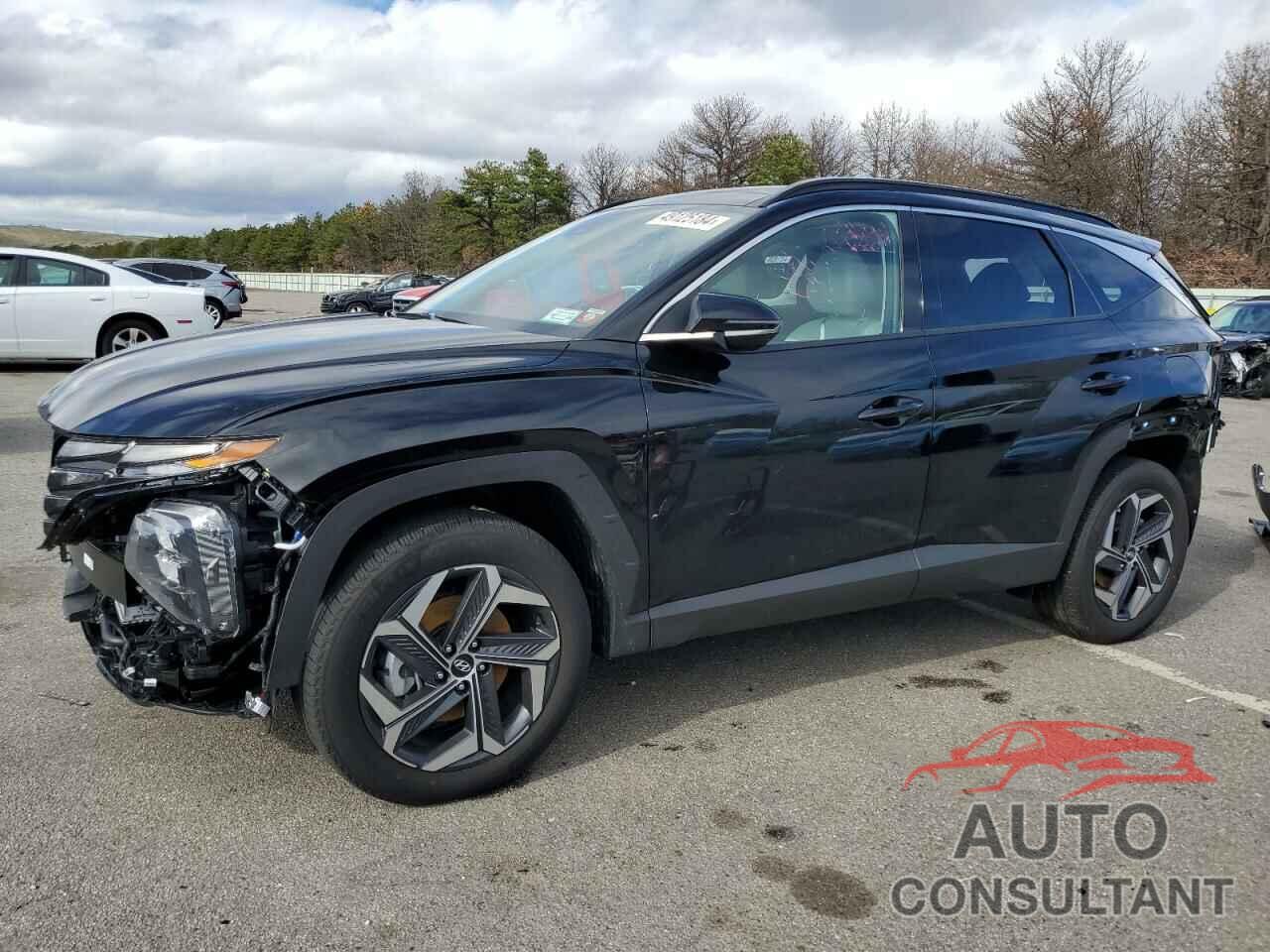 HYUNDAI TUCSON 2023 - KM8JECA19PU134065