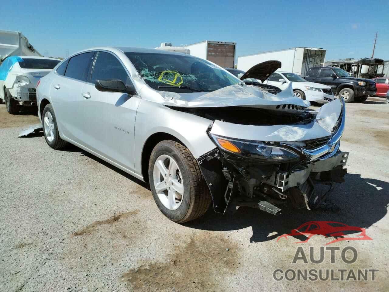 CHEVROLET MALIBU 2019 - 1G1ZB5ST7KF118772