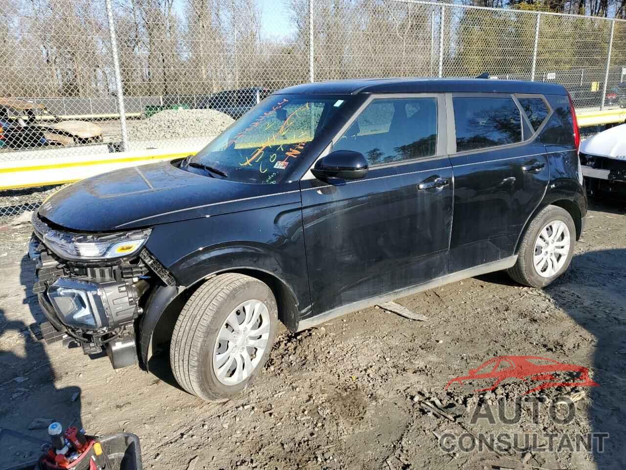 KIA SOUL 2022 - KNDJ23AU8N7181283