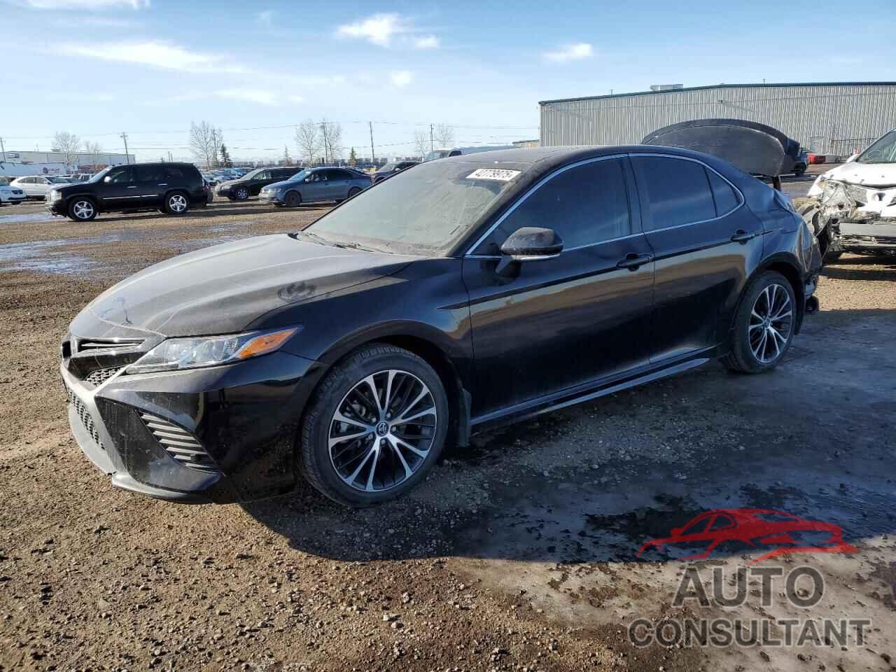 TOYOTA CAMRY 2020 - 4T1J11AK6LU857150