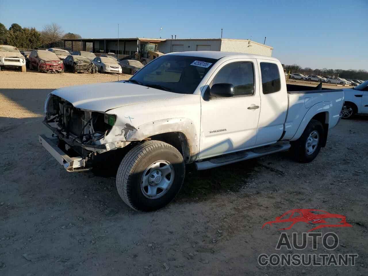 TOYOTA TACOMA 2009 - 5TEUX42N09Z640459
