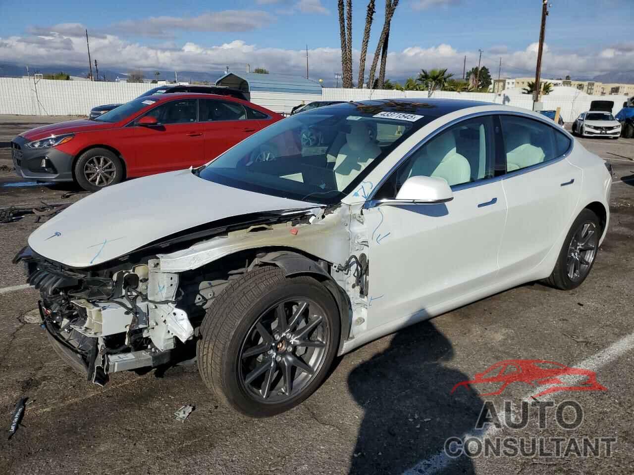 TESLA MODEL 3 2019 - 5YJ3E1EB7JF134781