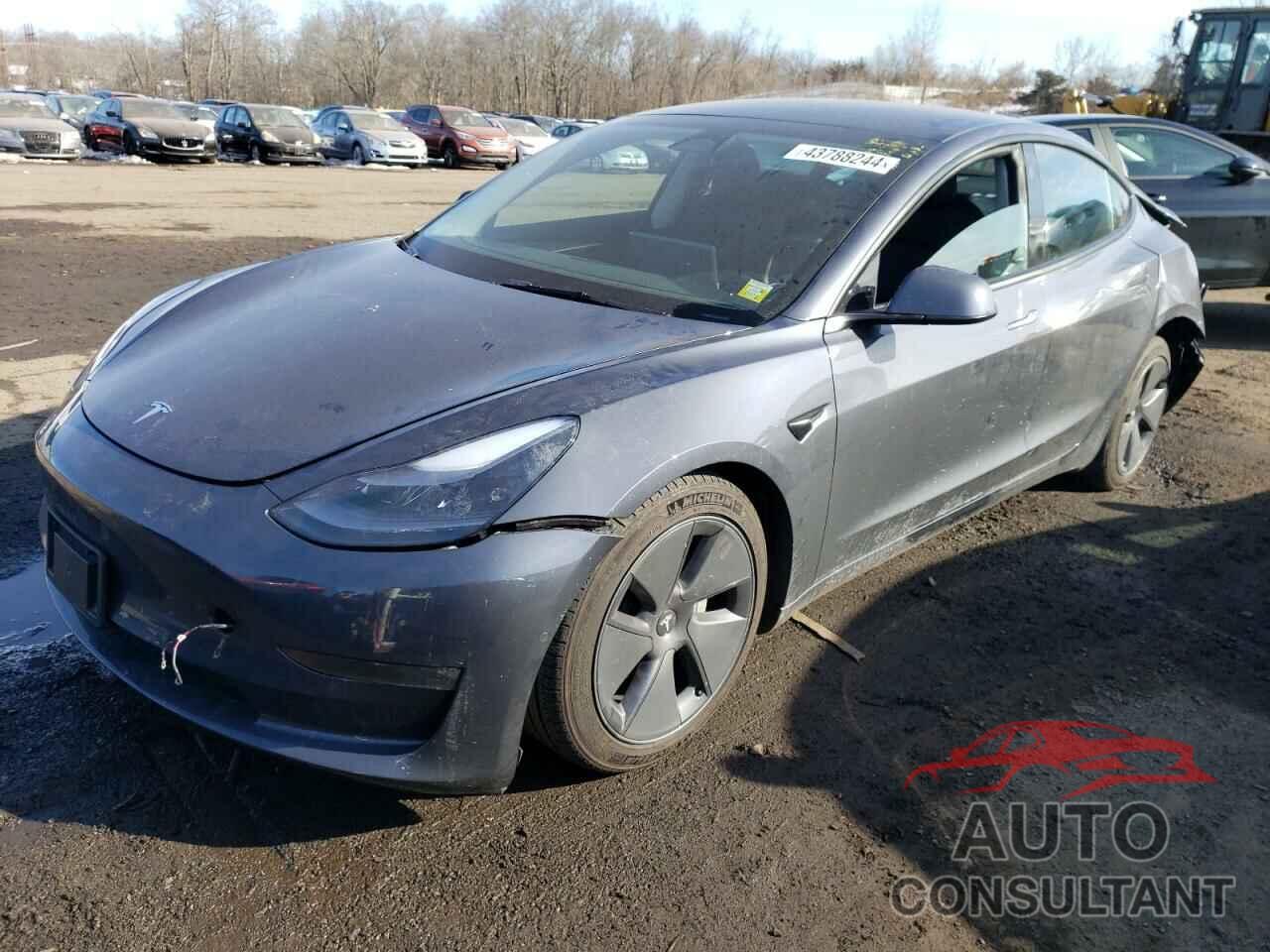 TESLA MODEL 3 2022 - 5YJ3E1EB5NF321569