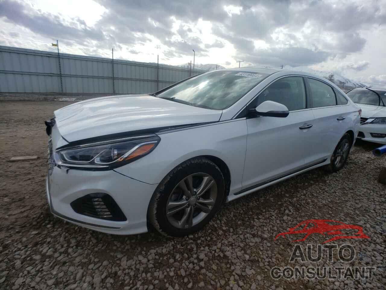 HYUNDAI SONATA 2019 - 5NPE34AF1KH814381