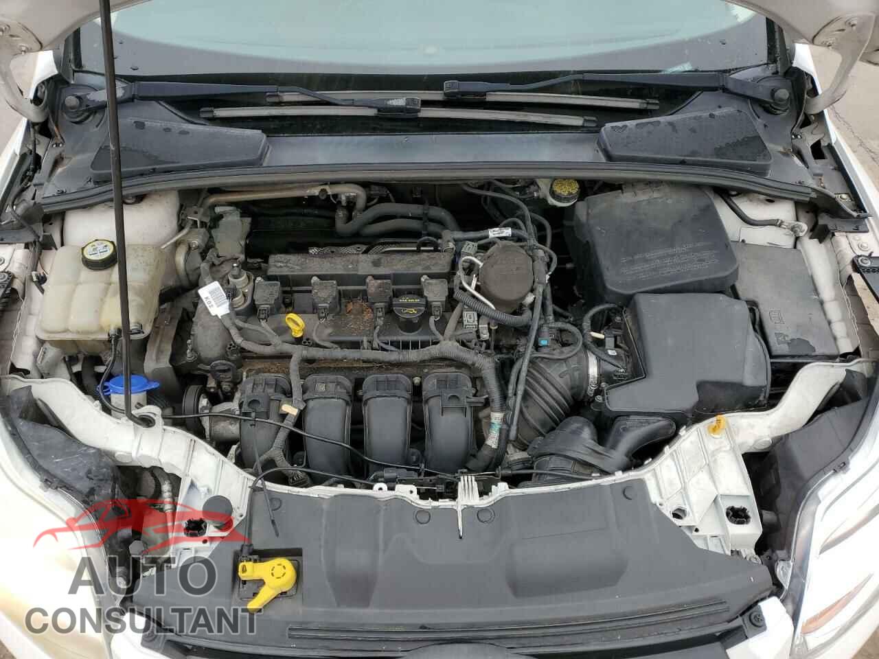 FORD FOCUS 2012 - 1FAHP3H20CL394422