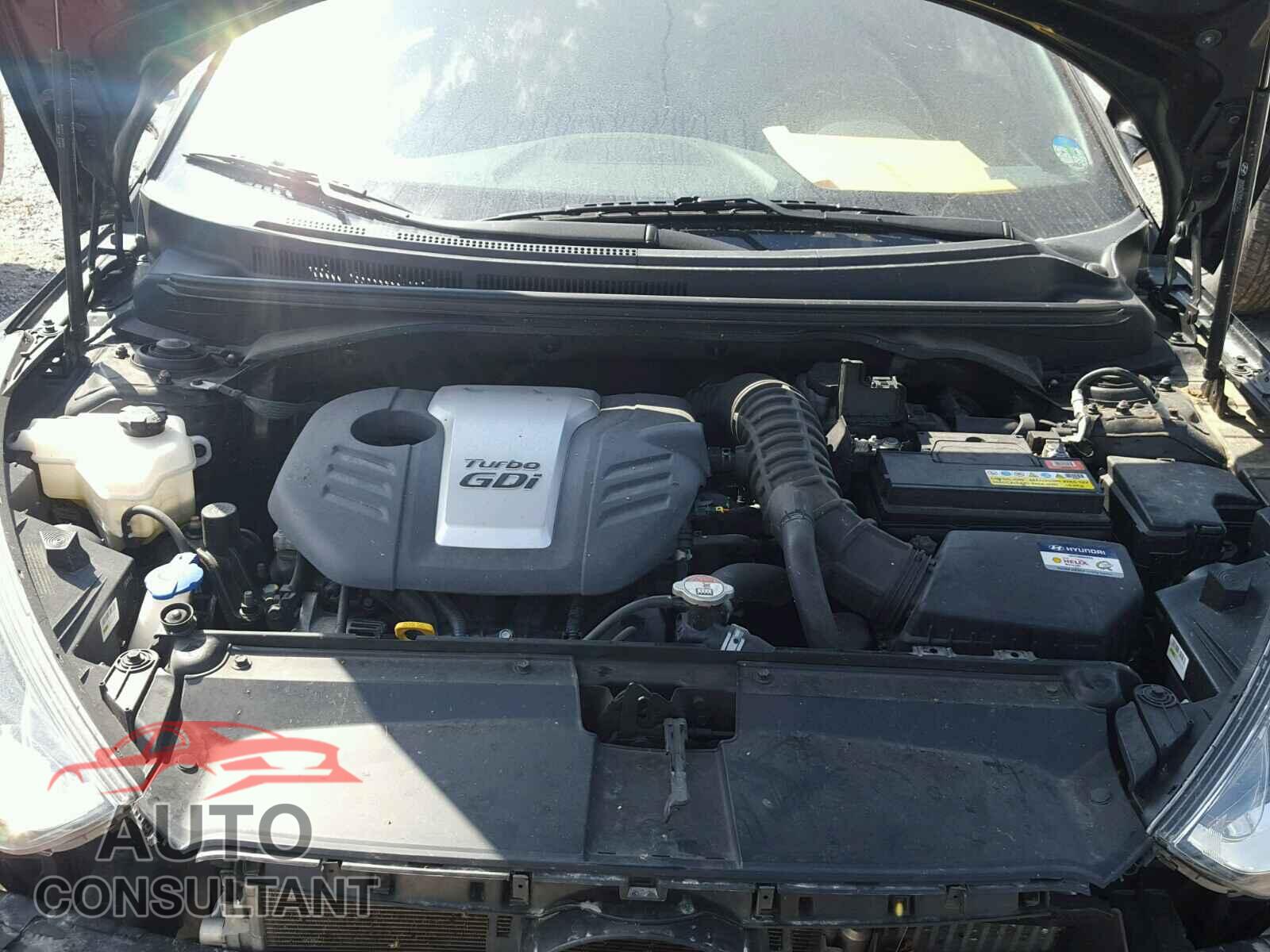 HYUNDAI VELOSTER 2016 - KMHTC6AE5GU255498