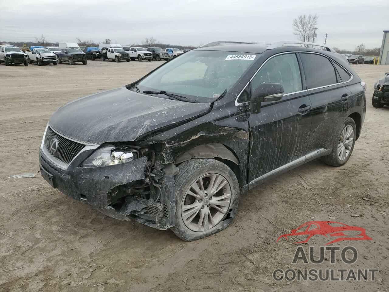 LEXUS RX450 2011 - JTJBC1BA5B2418716
