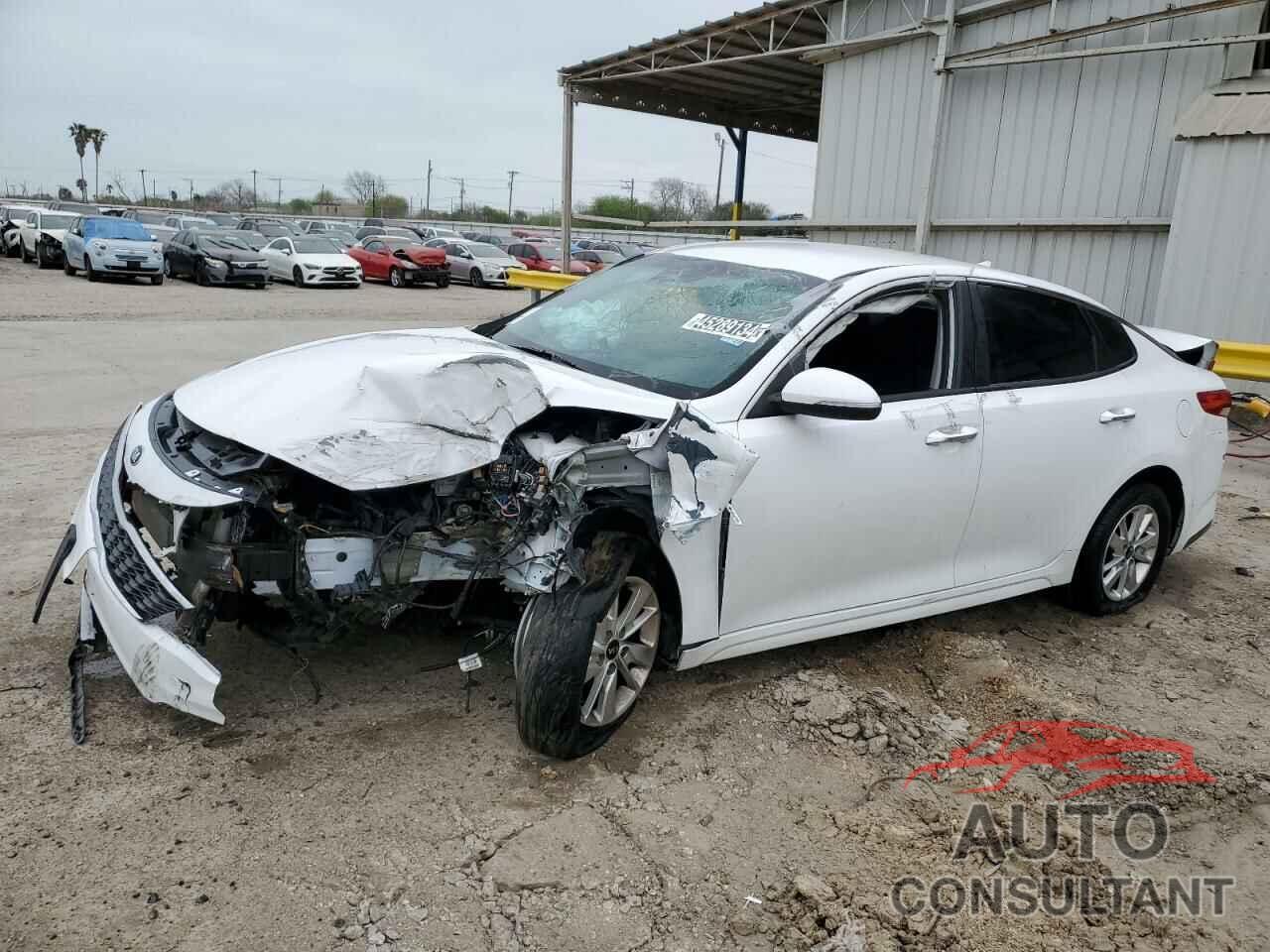 KIA OPTIMA 2019 - 5XXGT4L33KG275639