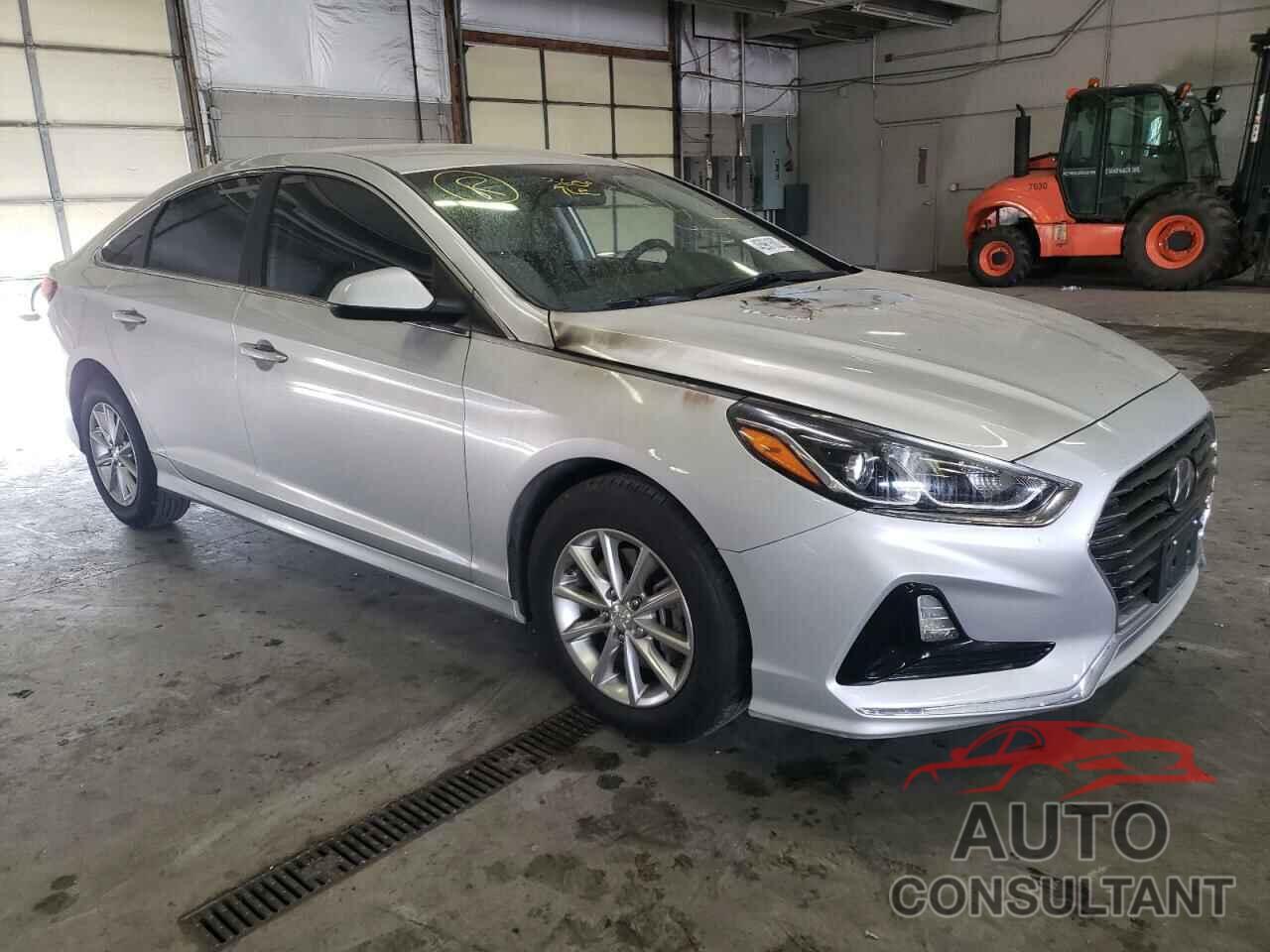 HYUNDAI SONATA 2019 - 5NPE24AF2KH766716