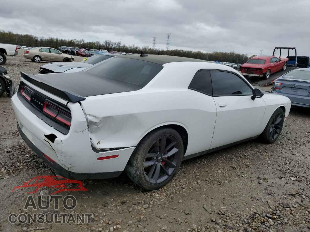 DODGE CHALLENGER 2019 - 2C3CDZFJXKH530016