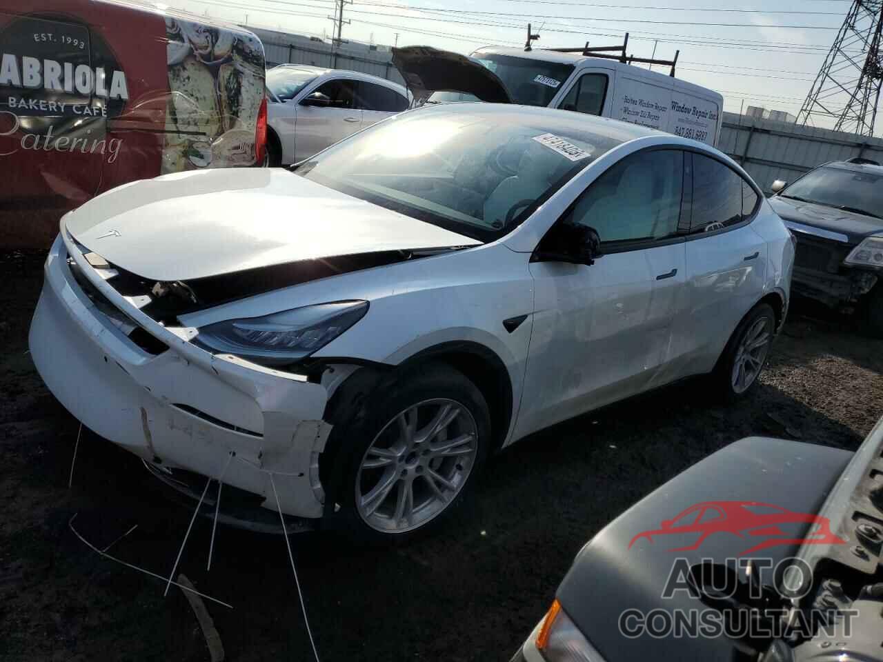 TESLA MODEL Y 2021 - 5YJYGDEE1MF098649