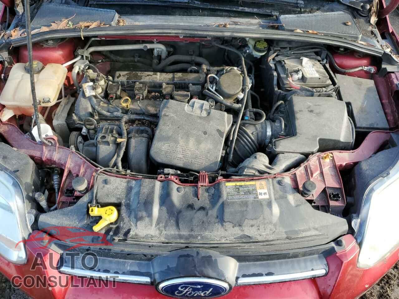 FORD FOCUS 2014 - 1FADP3F23EL203547