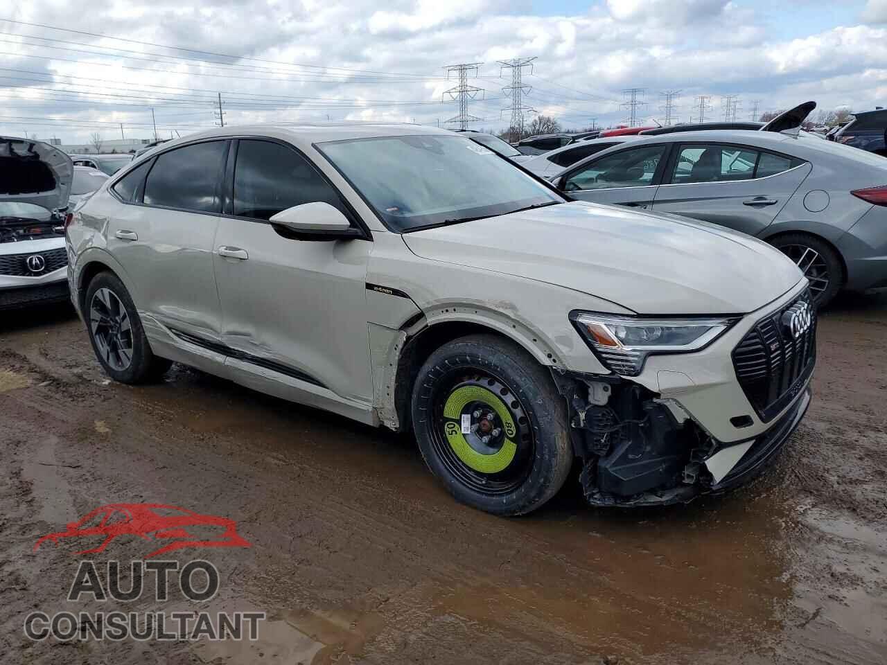 AUDI E-TRON 2022 - WA13AAGE2NB010259