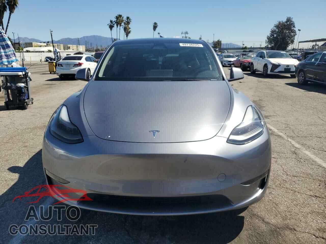 TESLA MODEL Y 2024 - 7SAYGDED2RA314104