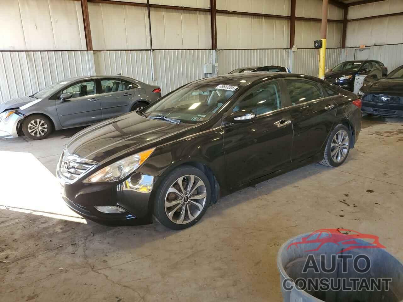 HYUNDAI SONATA 2013 - 5NPEC4AB8DH687290