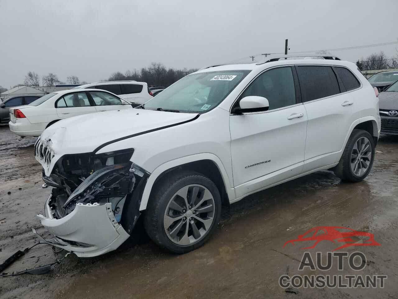 JEEP CHEROKEE 2019 - 1C4PJMJN7KD163365