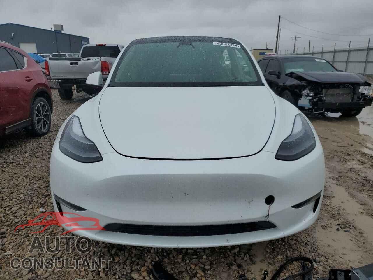 TESLA MODEL Y 2023 - 7SAYGAEE3PF609249