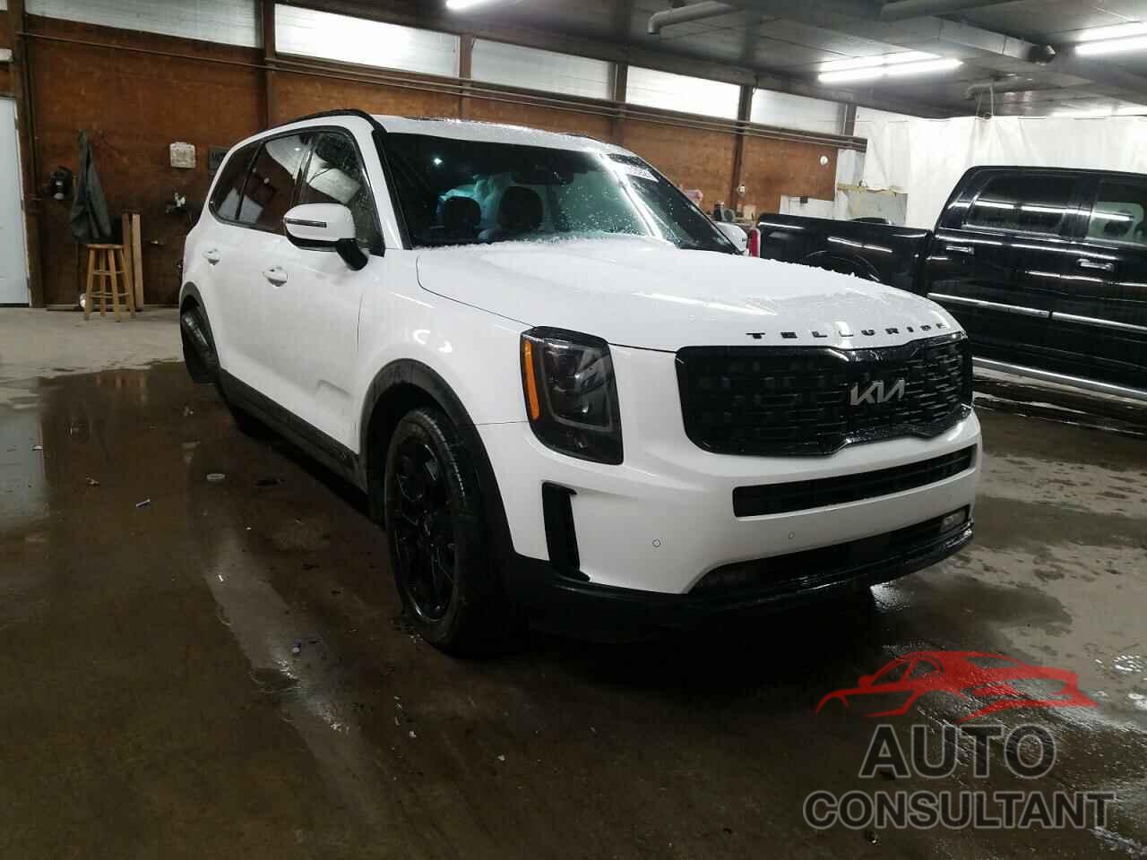 KIA TELLURIDE 2022 - 5XYP5DHC8NG249525