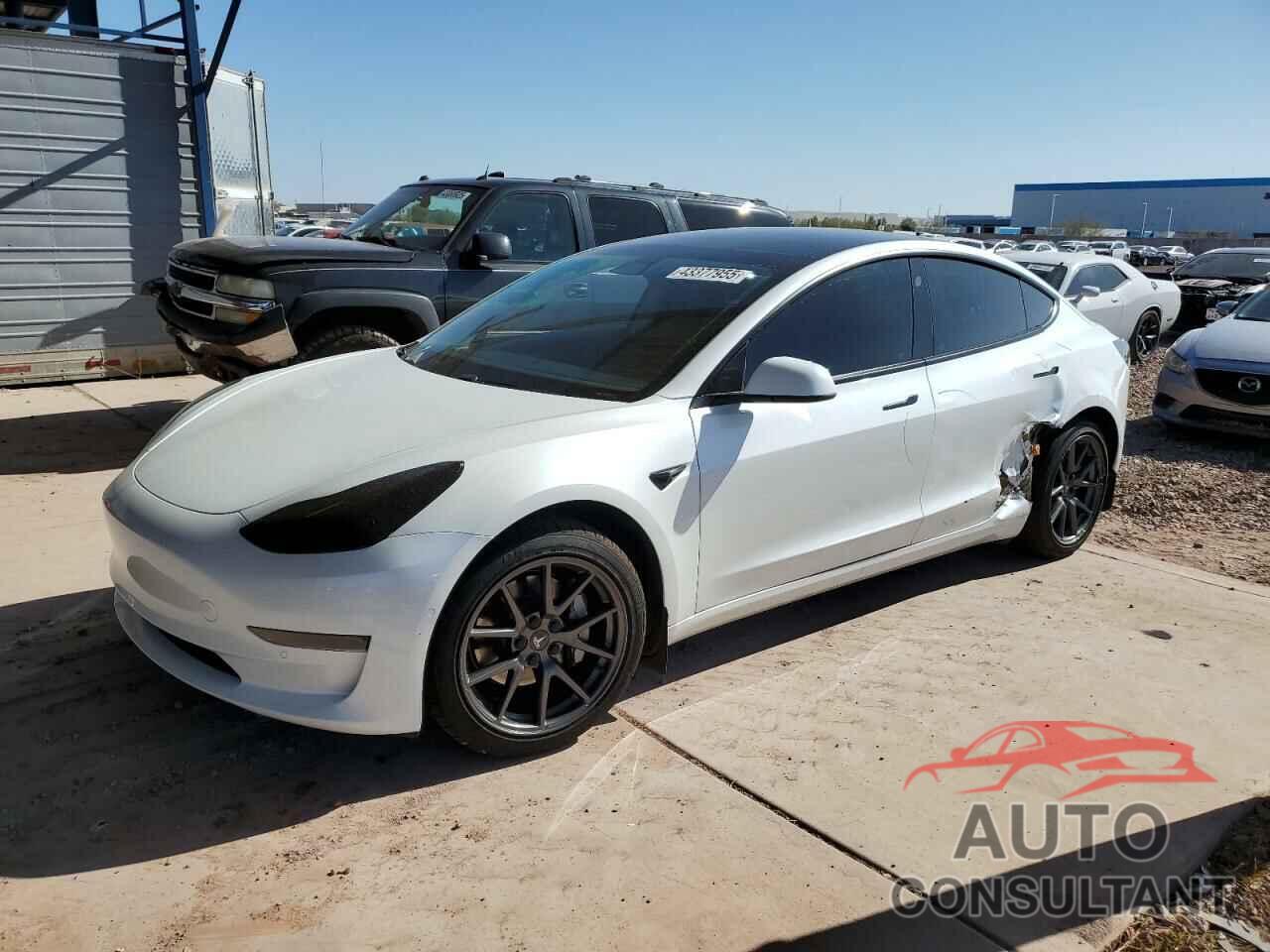 TESLA MODEL 3 2021 - 5YJ3E1EA7MF978749