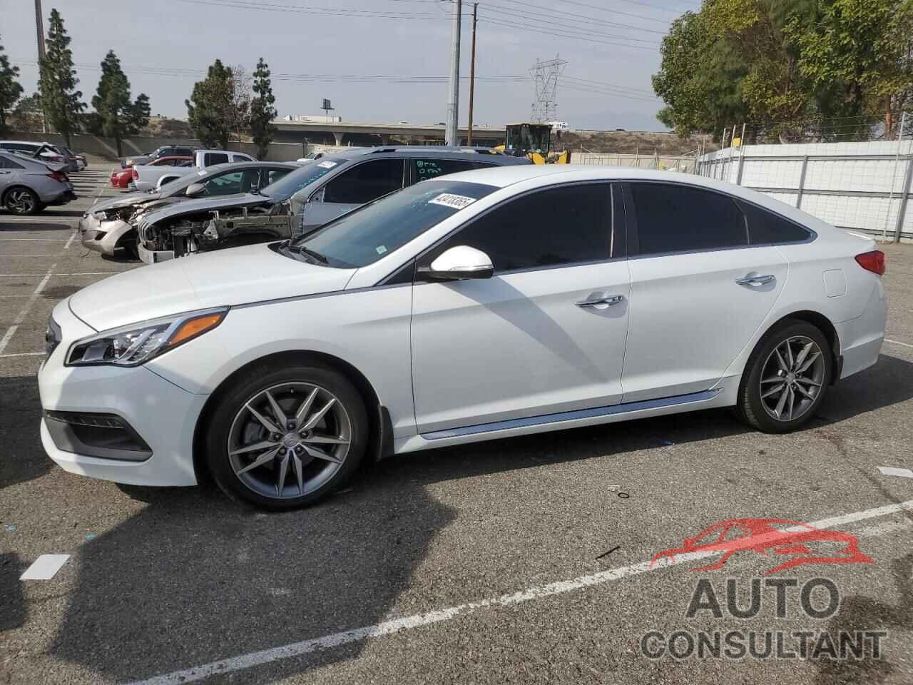 HYUNDAI SONATA 2015 - 5NPE34AB5FH164506