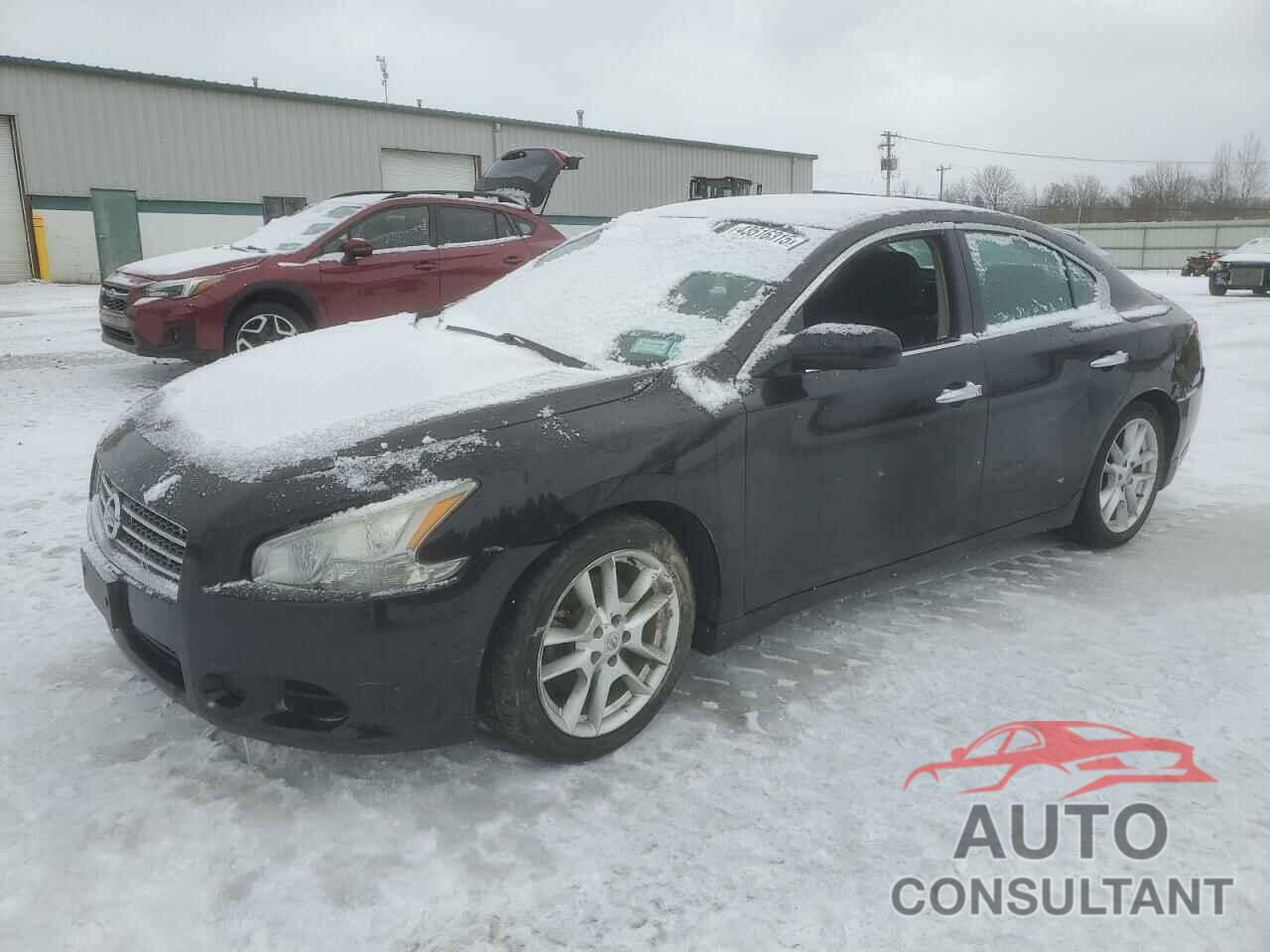 NISSAN MAXIMA 2010 - 1N4AA5AP4AC824325